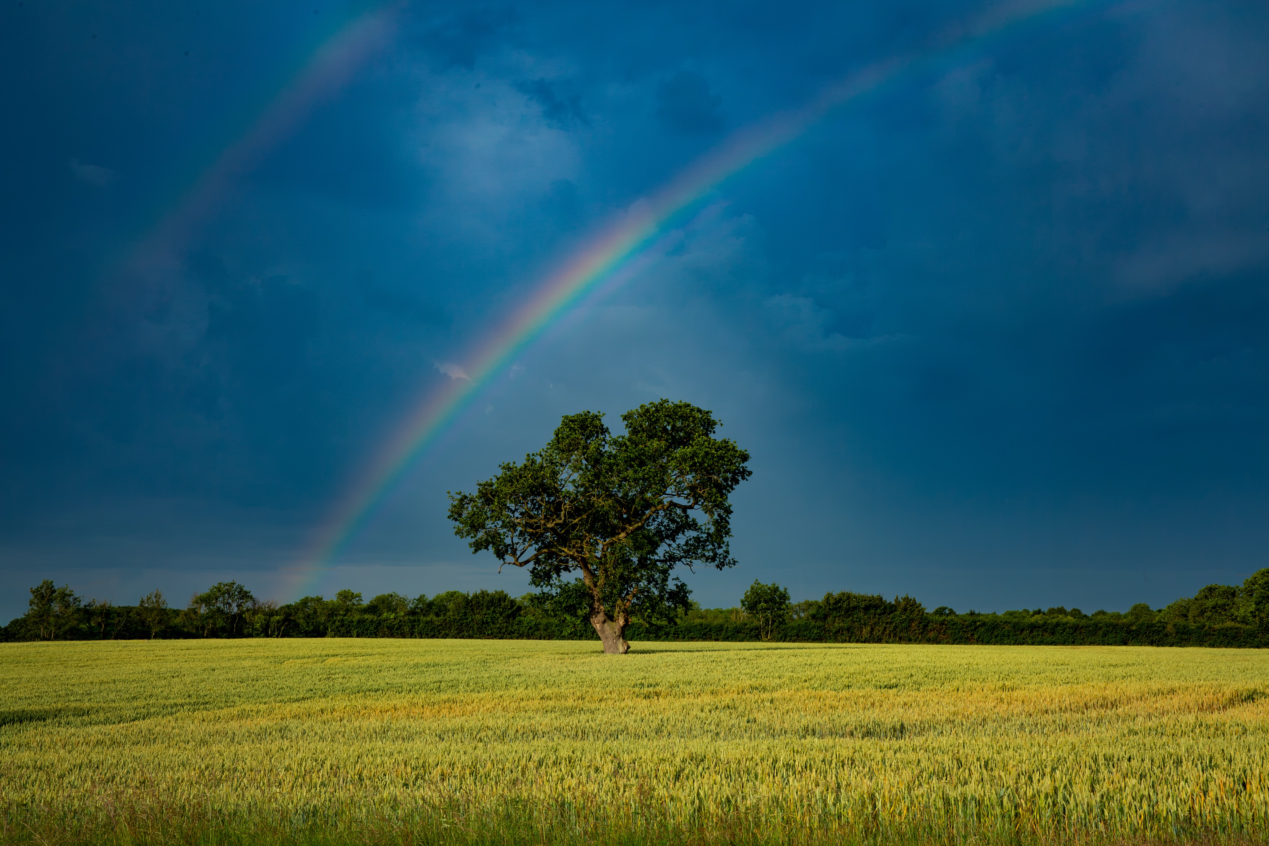 Snapped this while filming in Cambridgeshire last week 🌈🌳✨